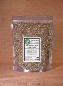 Zielarnia Suwalska Wrzodziejące jelitoziel 450 g wg Klimuszki