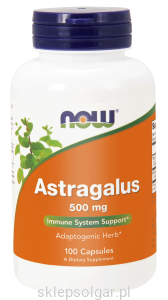 NOW Foods Astragalus 500mg