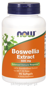 NOW Foods Boswellia Serrata Ekstrakt 500mg 90kaps