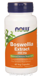 NOW Foods Boswellia Extract 250 mg COMPLEX – 60 kaps