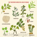 ashwagandha-ksm-66-601-kapsulek.jpg