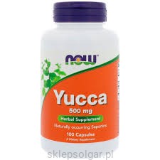 NOW Foods Yucca Juka 500mg