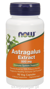NOW Foods Astragalus Extract 500 mg – 90 kaps