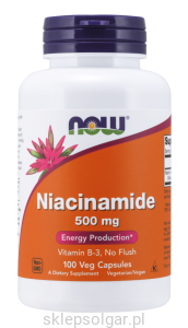 NOW Foods Niacinamide (B-3) 500 mg Niacyna