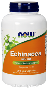 NOW Foods Echinacea – Jeżówka purpurowa 400 mg –250 kaps